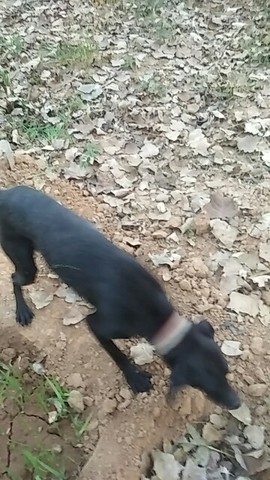 来福z主播照片