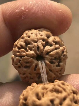 成都酒神哥主播照片
