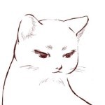 会跳探戈的猫海报