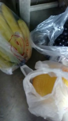 🍀顺鑫🍀主播照片