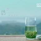 恋上鼠的猫v海报