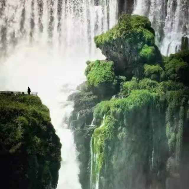 ✨漫游✨的图片