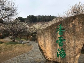 马伍也主播照片