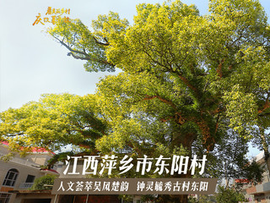 美丽的海南快乐的三亚主播照片