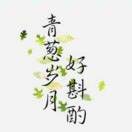 小确幸t9