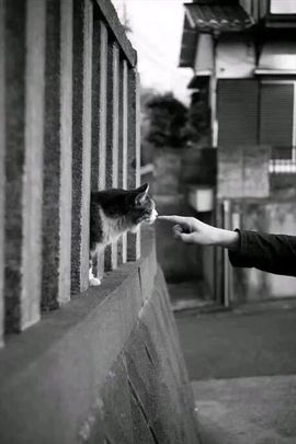 🐾笑笑🐾主播照片
