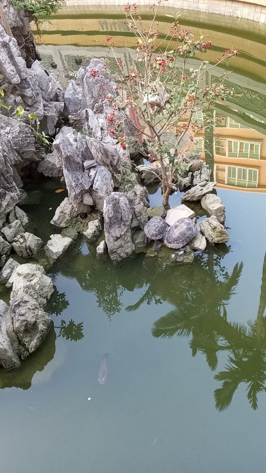 睡倒青山主播照片