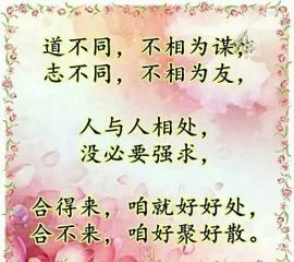 一只雁~主播照片