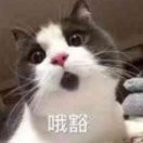 A.疯子.
