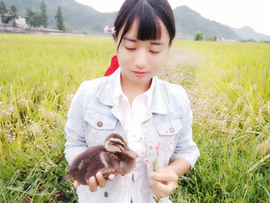 🐠过客🐠主播照片