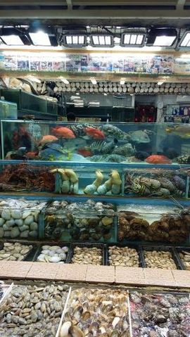 香港点点主播照片