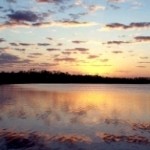 M我我海报