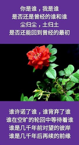 〖2021〗主播照片