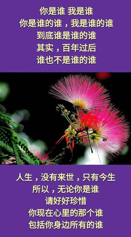 〖2021〗主播照片