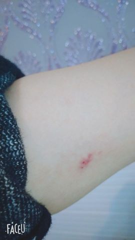 A亮宝主播照片