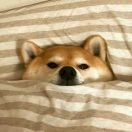 阳光暖男