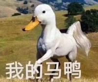 有你的地方就有幸福的主播照片