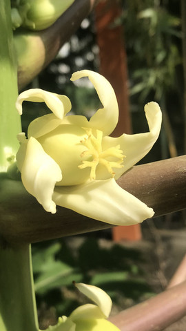 ☜囧八爷☞主播照片