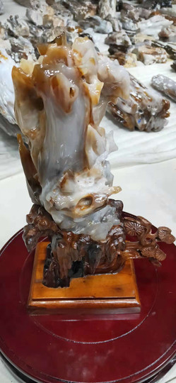 树化玉专场主播照片