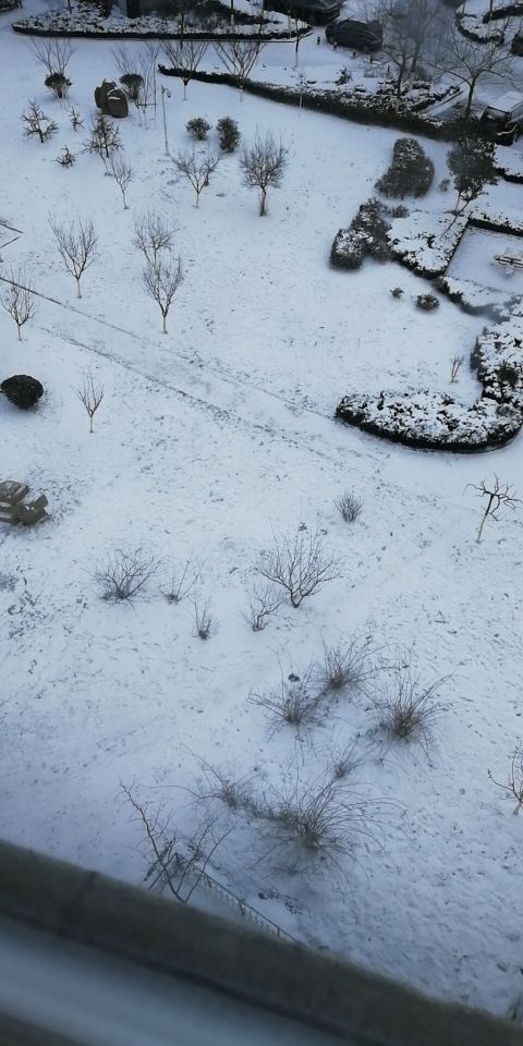 💰冰雪奇缘💰的主播照片