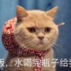 拾丶忆啊