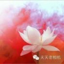 天籁之音px