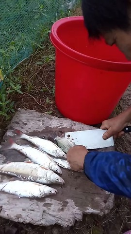 户外神彩主播照片