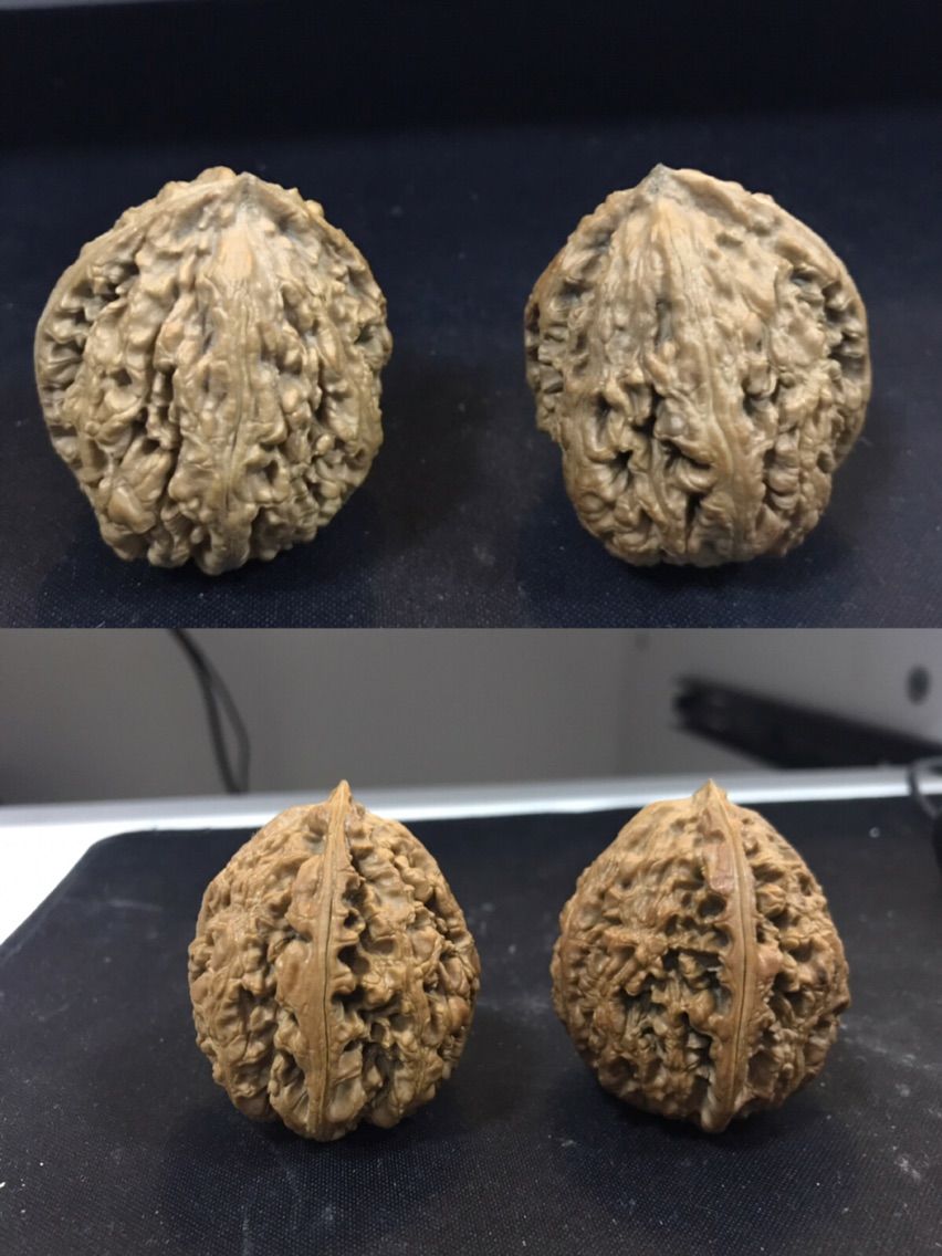 楊字瘋的主播照片