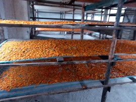 桑梓玉兔主播照片