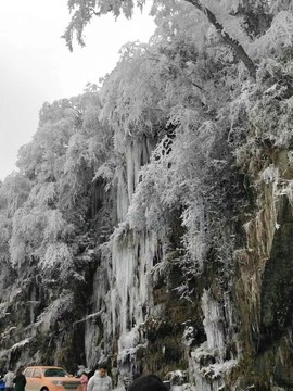 绍安在黔东南台江等你主播照片