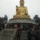 左少林
