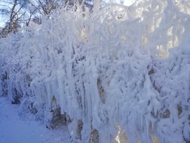 烟草味j7主播照片