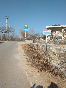 你例例啥主播照片