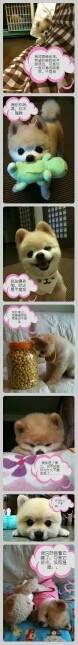 行尸走肉的活着的主播照片