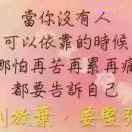 傲天之恋