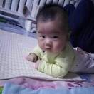 君子兰，铁观音