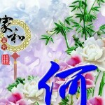 天涯用心缘海报