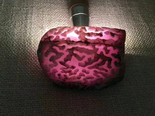 ?ｃ流狼的主播照片