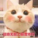 陌路人💫海报