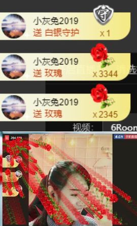 海鸽休息几天主播照片