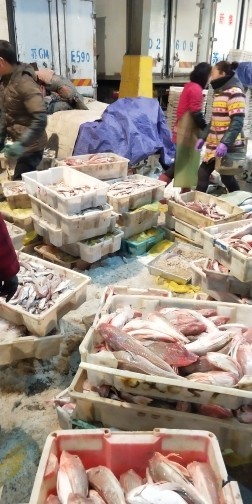 6666666魂。主播照片
