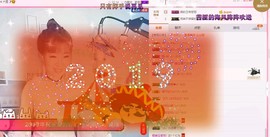 一只雁~主播照片