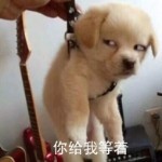 💋锁芯💋海报