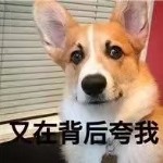 嫂子的男人-土豆