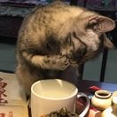 龘龗8