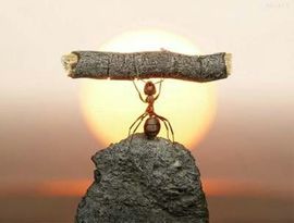 か君君与你们有缘在遇主播照片