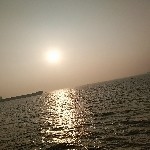 逍遥爽仙