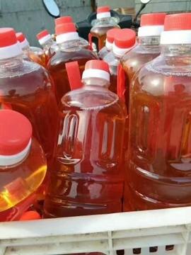 沾化冯家海产品主播照片