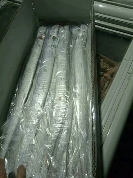 沾化冯家海产品主播照片