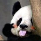 神经中二肥肥